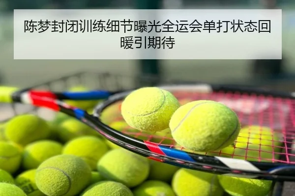 陈梦封闭训练细节曝光全运会单打状态回暖引期待