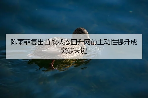 陈雨菲复出首战状态回升网前主动性提升成突破关键